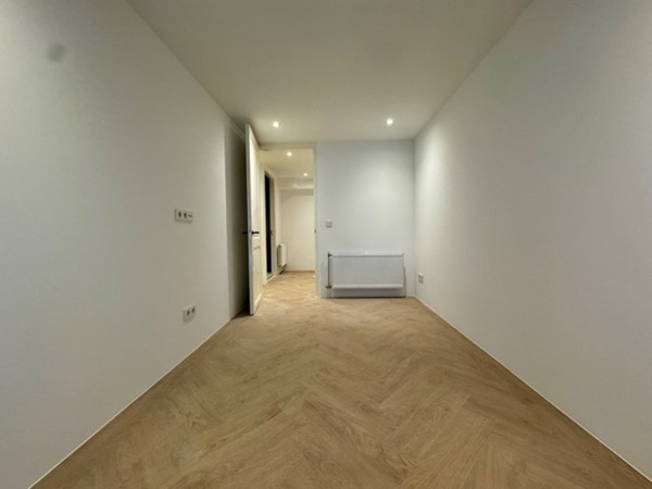 IMG_7369 Medium.jpeg